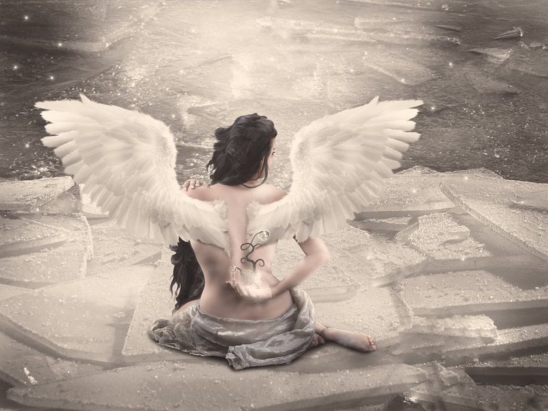 Der Schlüssel zu meinem Herzen von Babette van den Berg