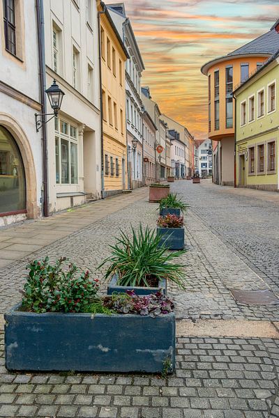 Straße in der Altstadt Plauen Sachsen Vogtland Ostdeutschland von Animaflora PicsStock