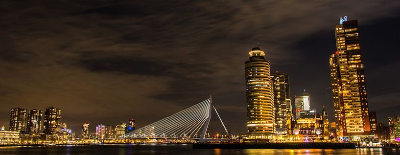 Kop van Zuid &amp; Erasmusburg panorama in kleur par ABPhotography