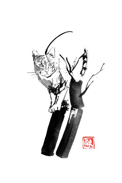 climbing cat par Péchane Sumie