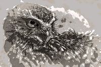 Kaninchenkauz in Brauntönen