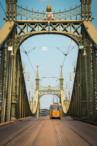 Liberty Bridge Budapest (Szabadsag hid) by Margaret Lampers