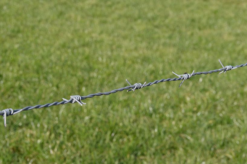 Stacheldraht von Adri FRIJTERS