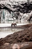 Pferd auf dem Sólheimajökull-Gletscher in Island | Natur Pferd Kunstdruck