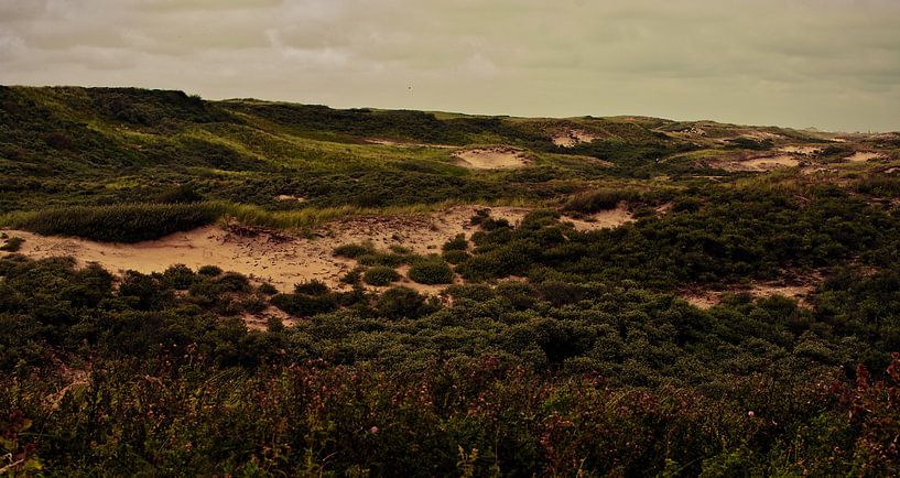 Mit Sand zwischen den Zehen von Tessa Wiegerinck