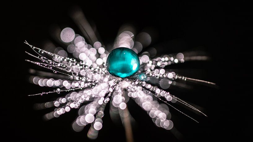 Blue drop on a lint by Bert Nijholt