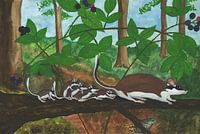 De jeunes souris glandues dans la forêt pour la première fois.