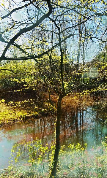 Lac et arbres par RAR KRAMER - Visual poet