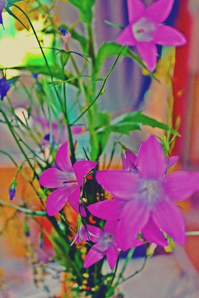 Glockenblumen von M.A. Ziehr