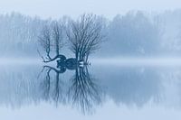 Insel in einer ruhigen Winterlandschaft