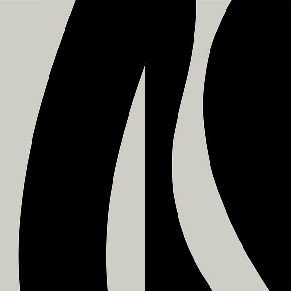 Schwarz Abstrakte Organische Geometrische Formen Nr. 1 von Dina Dankers