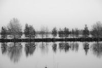 Veendammen in zwartwit