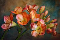 Fresiaschilderij | Warm Petal Dance