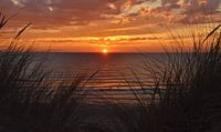 Coucher de soleil sur l'herbe des dunes de Texel