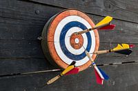 La bite de l'oiseau, droit au but