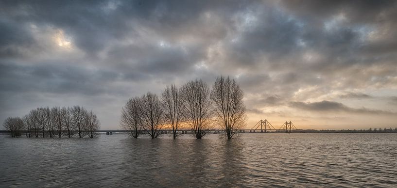 Hochwasser an der Prins Willem Alexander Brücke in Echteld von Moetwil en van Dijk - Fotografie