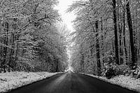 Endless road in the snow