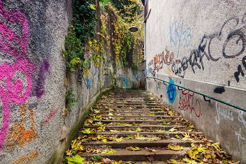 Sentier avec graffiti à Lyon par Anouschka Hendriks