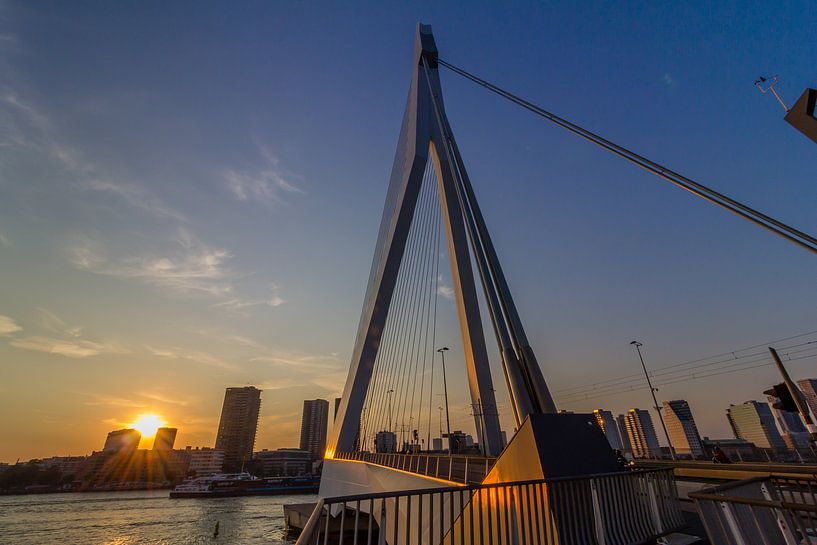 Erasmus bridge Rotterdam by Brandon Lee Bouwman