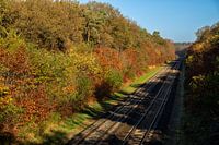 Autumn colours on the track