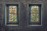 Die Fenster