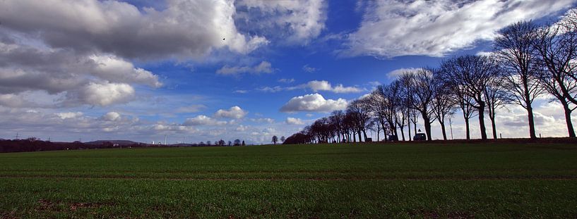Panorama des routes de campagne de Ress par Edgar Schermaul