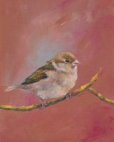 Sparrow meeting part one