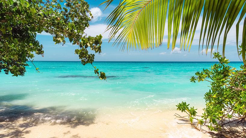 Meerblick. von Martijn Kort