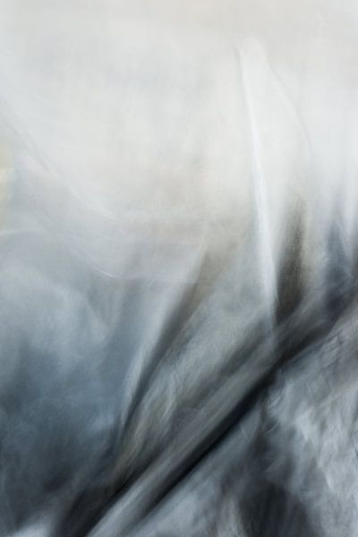 Transportation by Henriëtte Mosselman