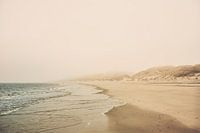 Terschelling - Kaapsduin fog