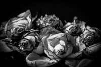 Still life black and white