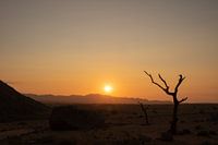 Sonnenuntergang in der Wüste in Namibia