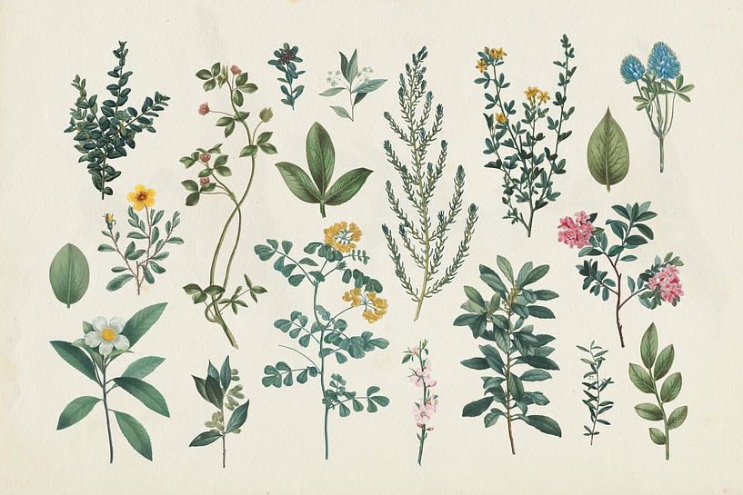 Viktorianischer Garten III, Wild Apple Portfolio von Wild Apple