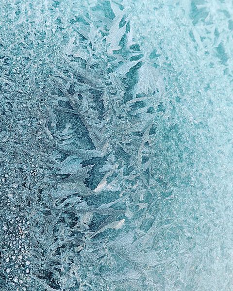 congelé par Volker Regt