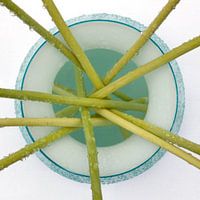 Vase du dessus (#3, vase d'IKEA)