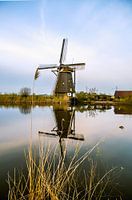Windmühle in Kinderdijk