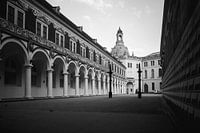 Stallhof in Dresden mit Frauenkirche im Hintergrund