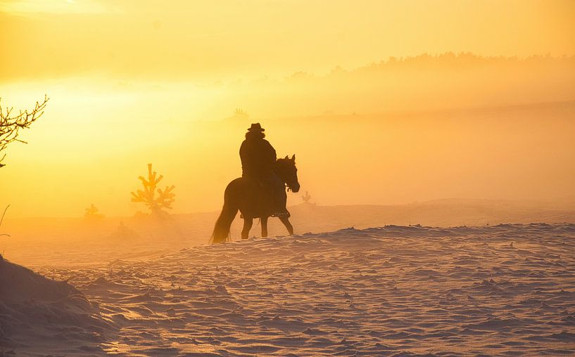Ein Reiter mit Pferd, Nebel, Schnee und die Sonne. So schön, so besonders Foto 2 von Natuurpracht   Kees Doornenbal