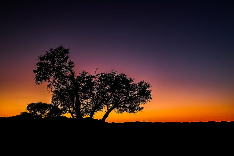 Beautiful sunset and silhouette in the Namib Desert, Namibia by Original Mostert Photography