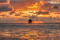 Engländer Platte schöner Sonnenuntergang