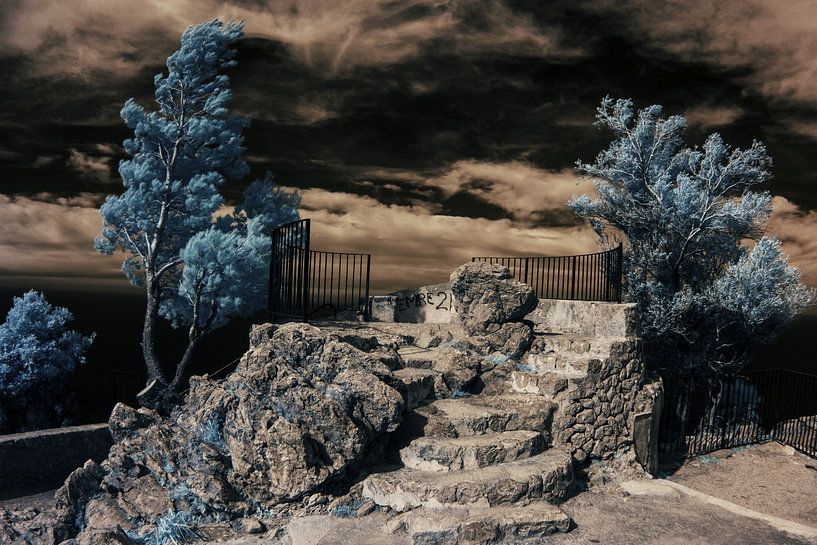 landscape Mallorca  infrared by Winne Köhn