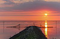 An evening on the WAD