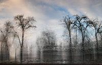 eine eisige Landschaft in Bulgarien