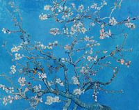 Almond blossom by Vincent van Gogh (Bright blue)