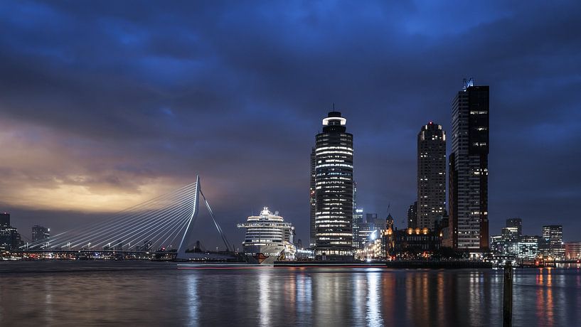 La tête du Sud en pleine gloire par Jeroen van Dam