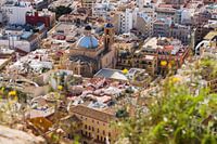 Cityscape Alicante with the cathedral