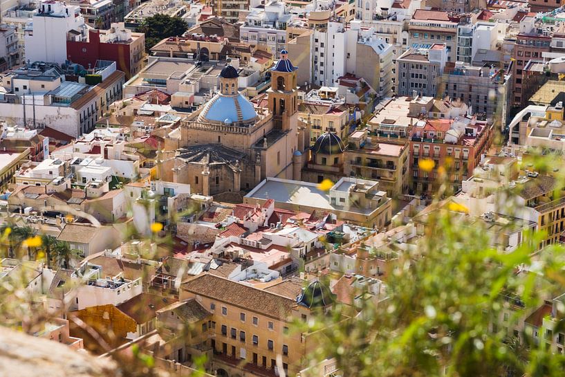 Cityscape Alicante with the cathedral by Paul van Putten