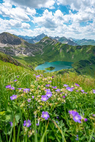 Blumige Sicht auf den Schrecksee und den Hochvogel in den Allgäuer Alpen von Leo Schindzielorz