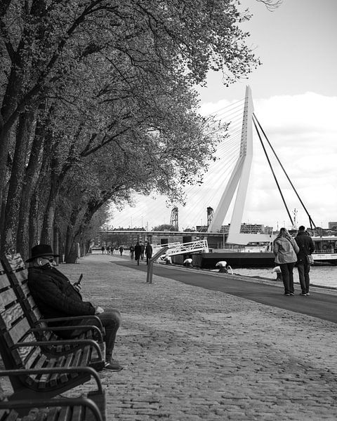 Hellow by wesleystroo.com