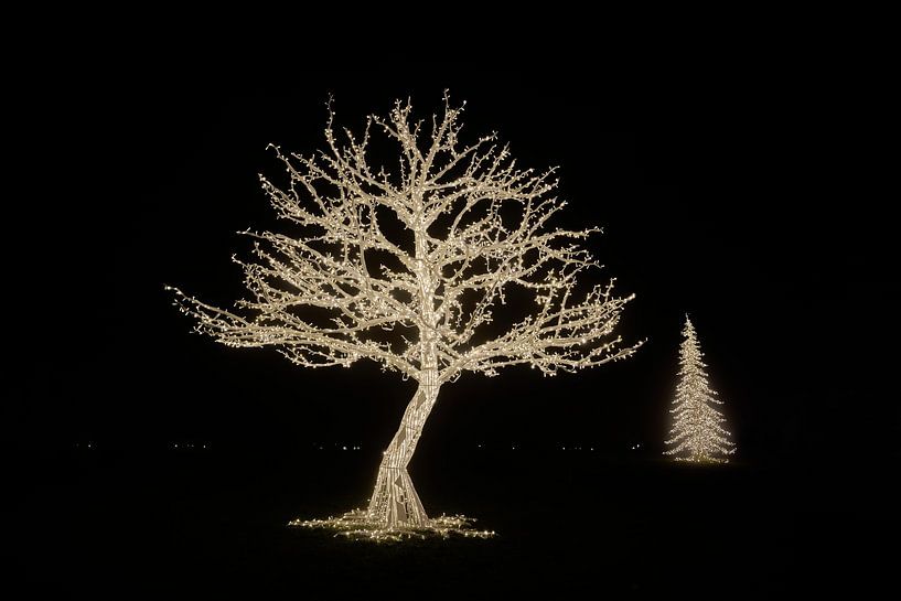 Lichtinstallatie in een park met Kerstmis van Heiko Kueverling
